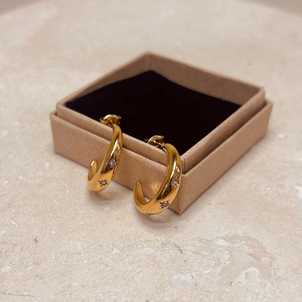 Aretes de estrella con relieve para el diario