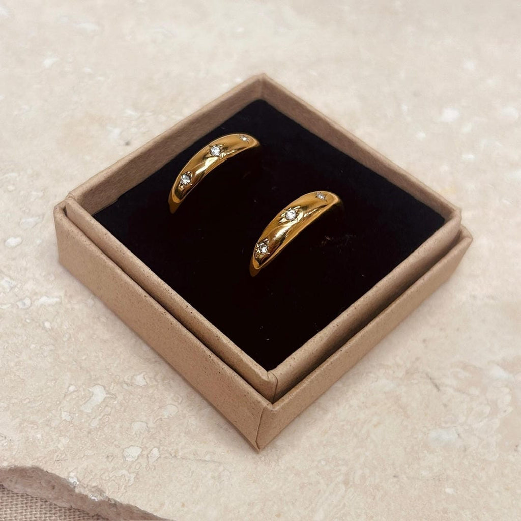 Aretes de estrella con relieve para el diario