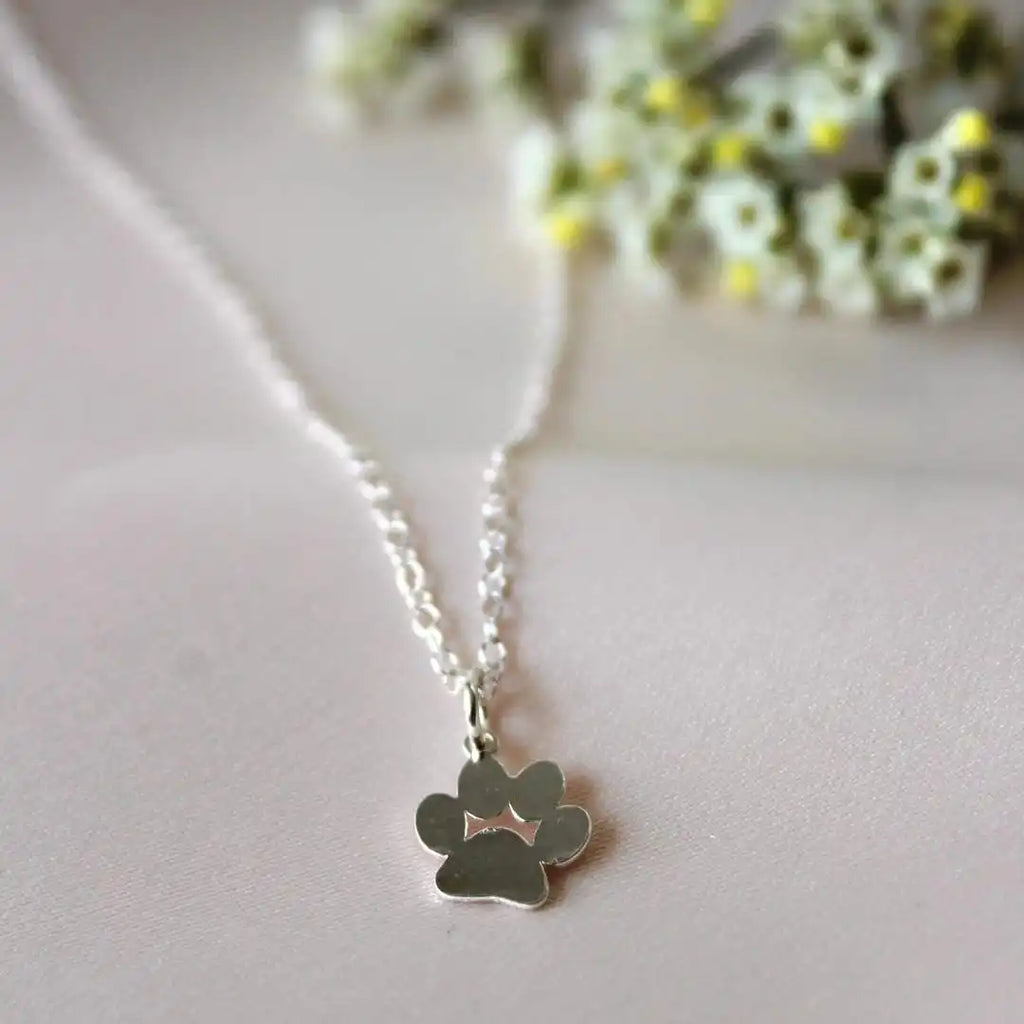 Elegante Collar Pata de Plata