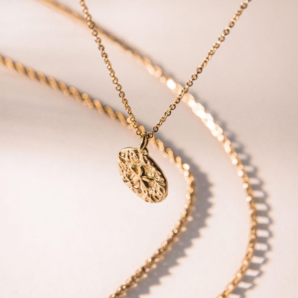 Collar con dije de dólar de arena